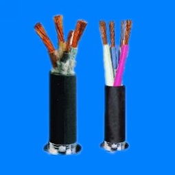 氟塑系列控制电缆 电线电缆栏目 jdzj.com