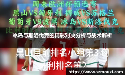 冰岛与斯洛伐克的精彩对决分析与战术解析